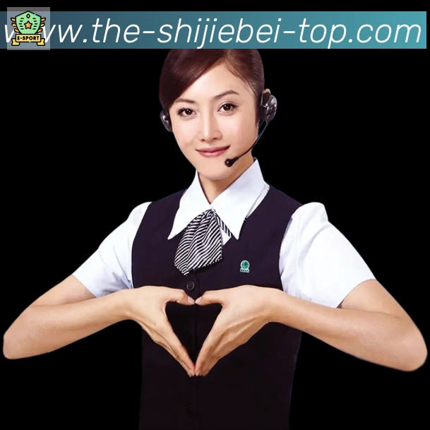 世界杯直播官方网站荣誉
